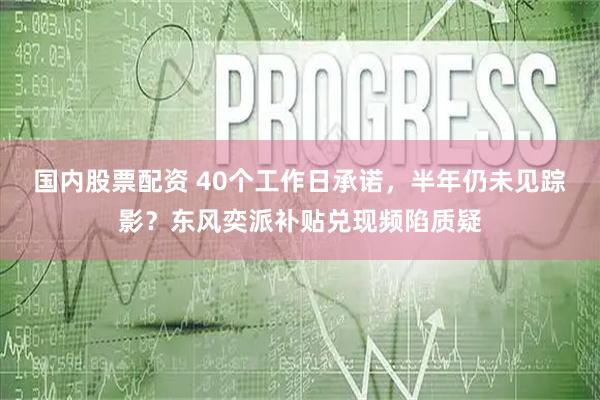 国内股票配资 40个工作日承诺，半年仍未见踪影？东风奕派补贴兑现频陷质疑