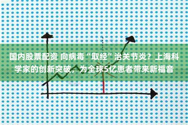 国内股票配资 向病毒“取经”治关节炎？上海科学家的创新突破，为全球5亿患者带来新福音
